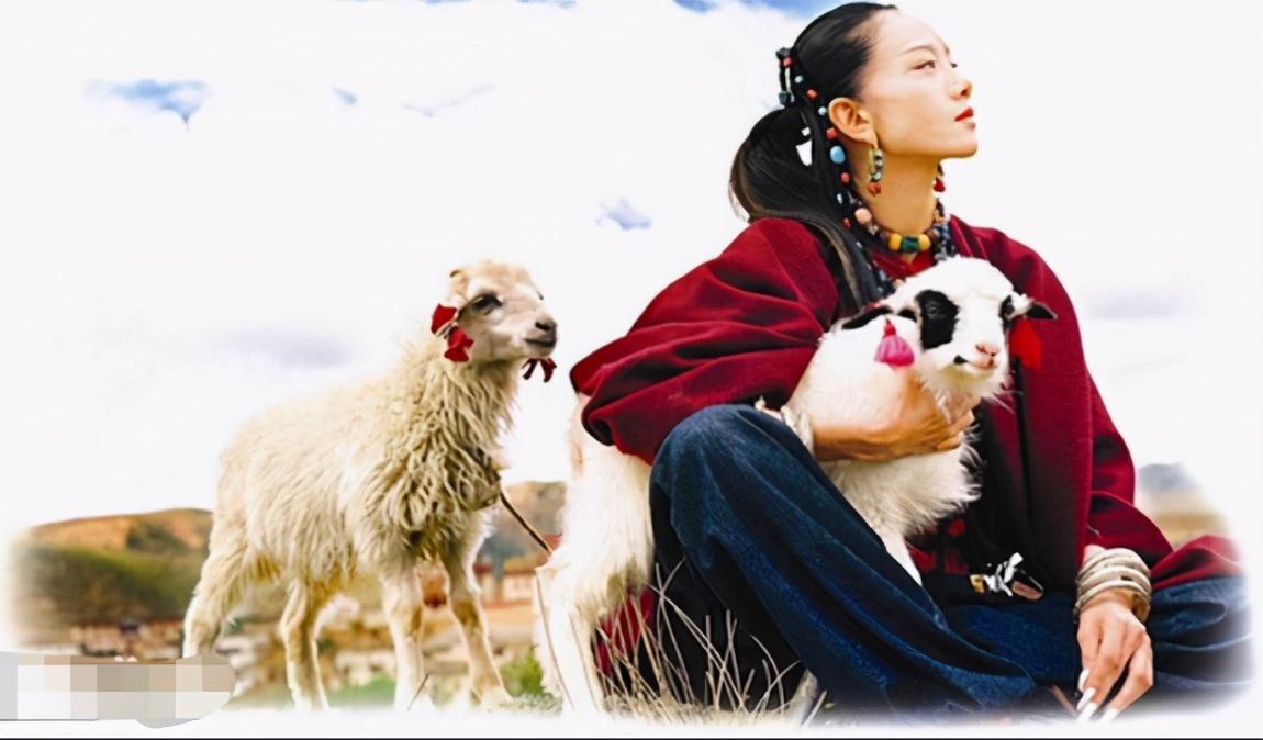 杨丽萍|杨丽萍3000万“月亮宫”被查，外表光鲜亮丽，里面太“肮脏”