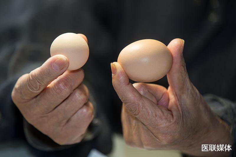 蛋白质|男人年龄大了之后，需尽早补充这5类营养，“顶梁柱”强健身体