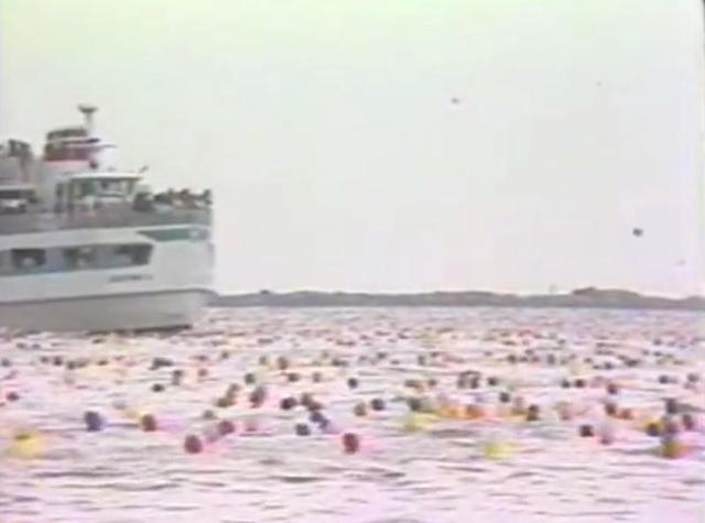 |为什么要禁放氦气球？看140万个氦气球带来的灾难，你就明白了