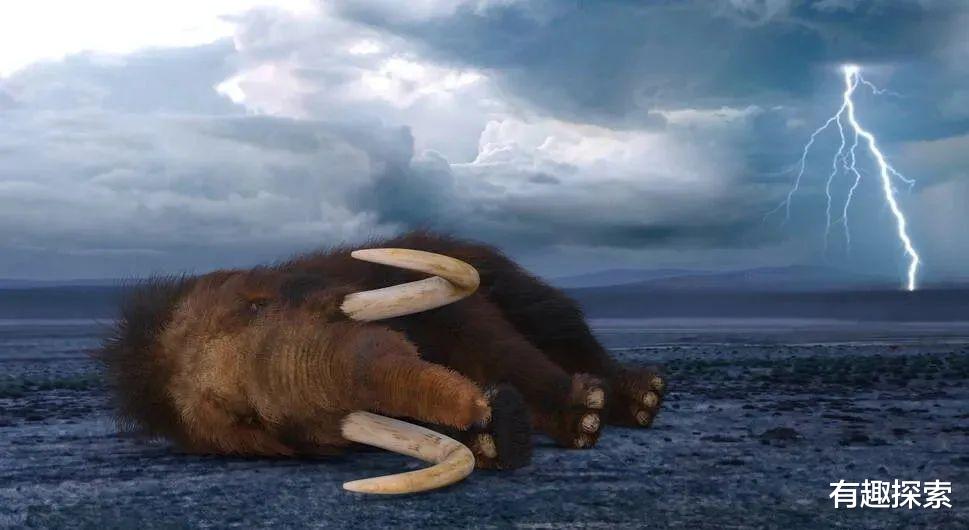 霸王龙|灭绝52年长嘴物种,失踪63年中华国鸟发现了,为何改变栖息地