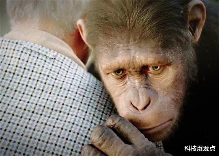 「恐龙」恐龙在地球上1.6亿年，为什么没进化成人？其实早有征兆！