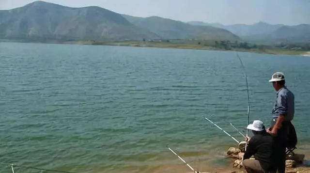 「」钓鱼时,老钓友常用这3种方式“诱鱼”,每次都能钓满渔护