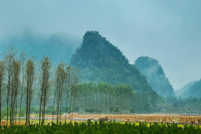 运势|十二生肖中，3生肖8月11号起运势逆袭，财气汇聚，收获意外之喜