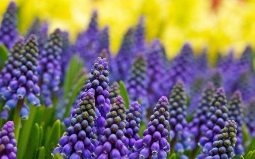 旧爱|在9月起，能够与旧爱破镜重圆，这四大星座的人就是离不开旧爱