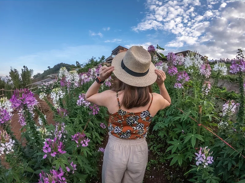 癌细胞|世界上最大的愚蠢，就是相信“灵魂伴侣”的存在