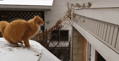 「量子力学」5个已经被证实的科学理论，却很难让人接受，因为太反直觉了！