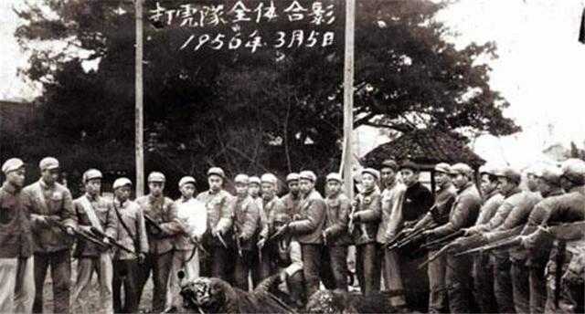 「四川省」50年代湖南“百虎围村”事件：十年2000人落入虎口，围村另有原因？