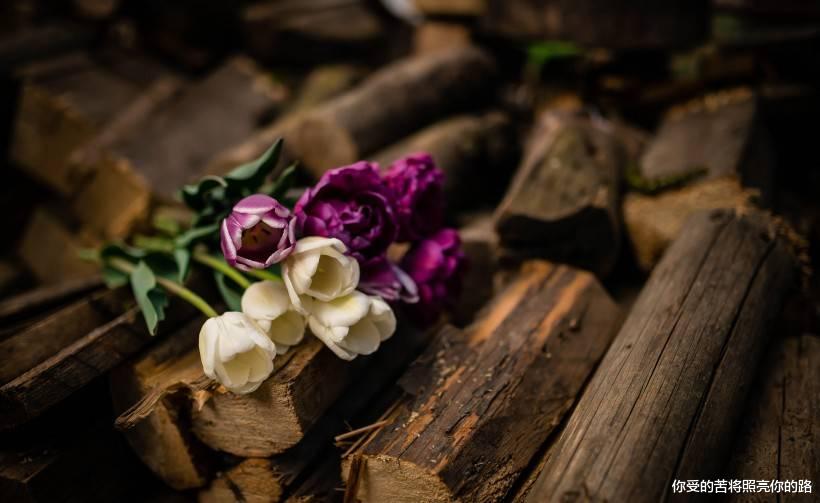 @7月财运爆棚,偏财最可观,大运临头,财运连连到的四属相