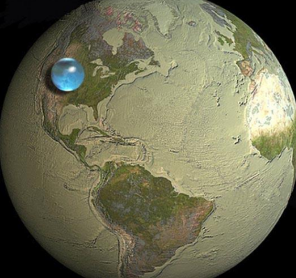 鲨鱼|10个冷知识：你可能想不到，蜗牛竟然是世界上牙齿最多的动物