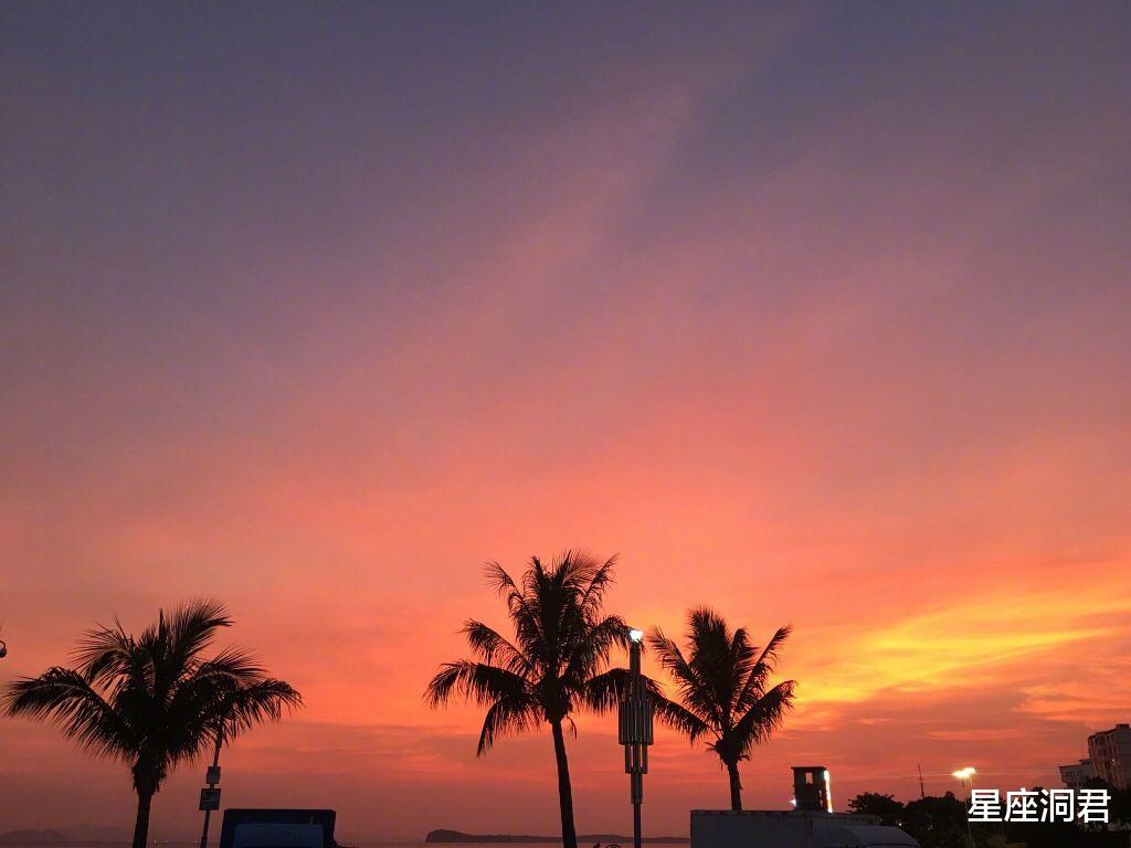 『生肖』心有旧爱，不愿脱单的星座