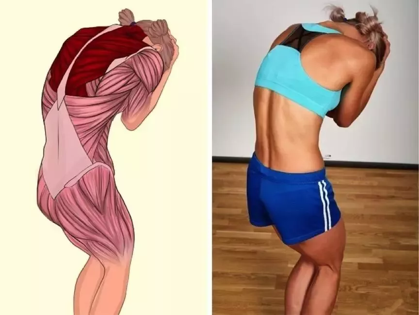 「臀部」18张瑜伽「解剖」图告诉你,精准科学拉伸很重要!【珍藏版】