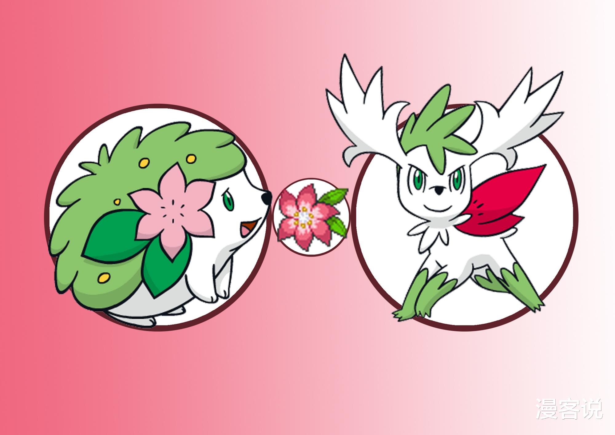 精灵宝可梦|盘点《精灵宝可梦》中依靠道具才可以改变形态的宝可梦