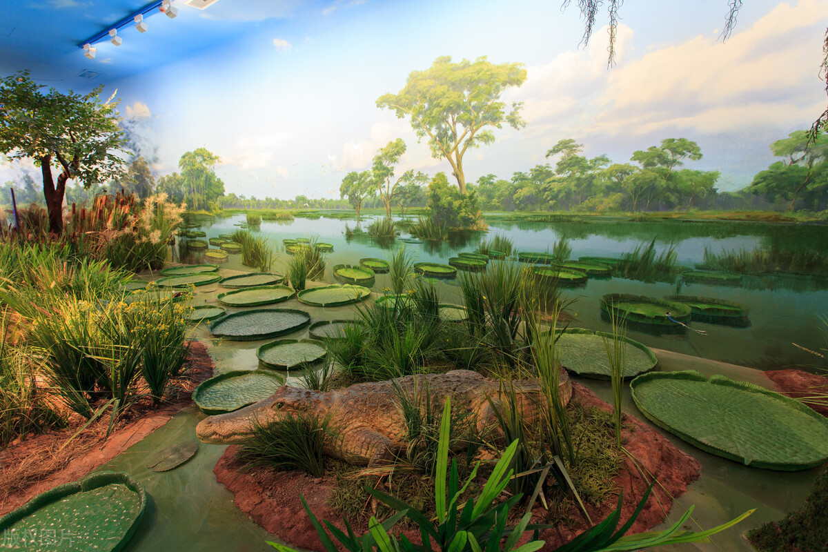 行星|宇宙7级文明到底有多可怕！你会发现人类文明根本不值一提。（原创）