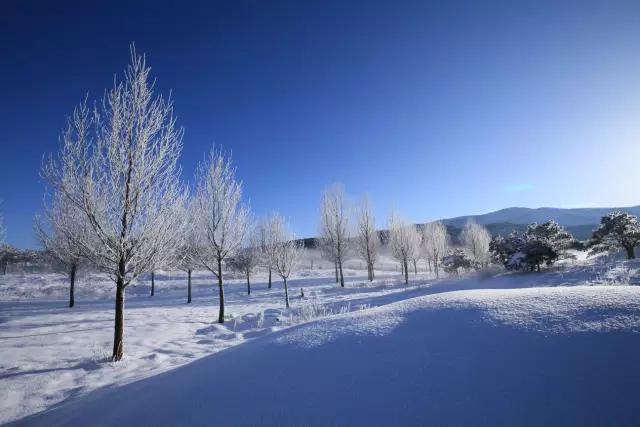 玉龙雪山▲这么美的玉龙雪山,不知要迷倒多少人!