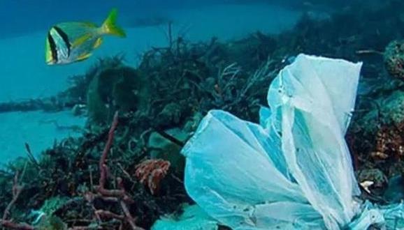 科学家▲潜龙3号有新发现，地球海底到底有什么？令科学家惊惶不安