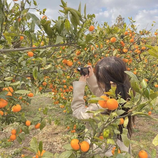【】韩国30岁单身女孩，公开独居十年的公寓火遍油管：自由工作的日子，真的太爽了