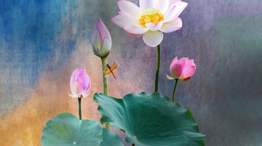 『生肖』到了6月中旬，3大生肖赚得到钱，事业兴旺，日子顺心如意