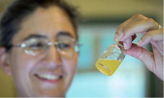 毒液|世界最贵的三种动物液体,人类一种上榜,贫穷限制了我的想象