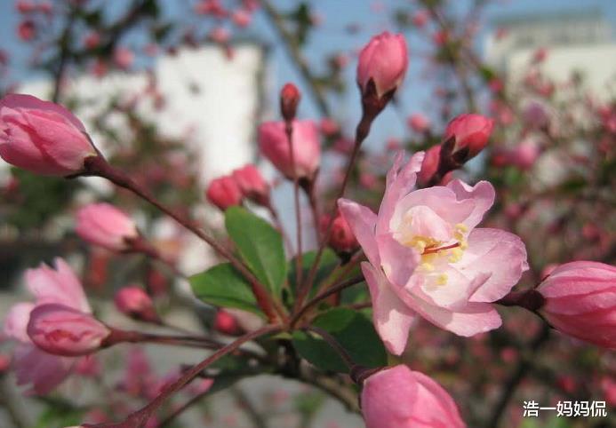 生肖@6月20号,贵人辅佐,4生肖运势超顺,事业大旺,数钱数到手抽筋