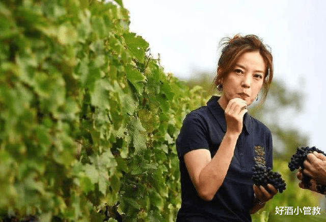 葡萄酒|为什么自酿葡萄酒有的不能喝?