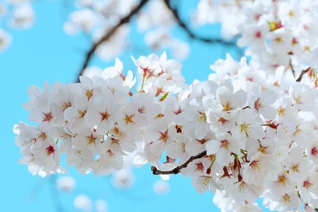 「射手座」灵魂深处的伴侣！看起来不适合，却很般配的星座配对，让人羡慕