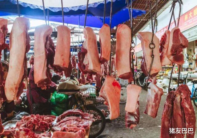 生猪价格|猪价走跌，多地跌破“15元/斤”，年底前猪价、肉价或跌成这样！