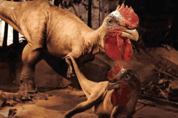 恐龙|它是恐龙的后裔，却活得毫无尊严，每年被人类吃掉500亿只