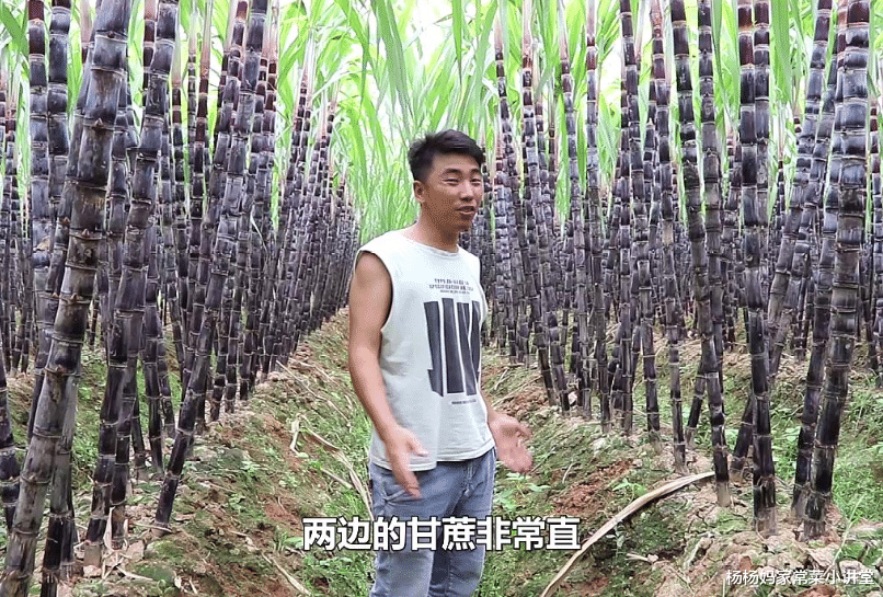 泡面■4种比香烟还“上瘾”的零食,尤其最后一种,一般小孩子戒不掉!