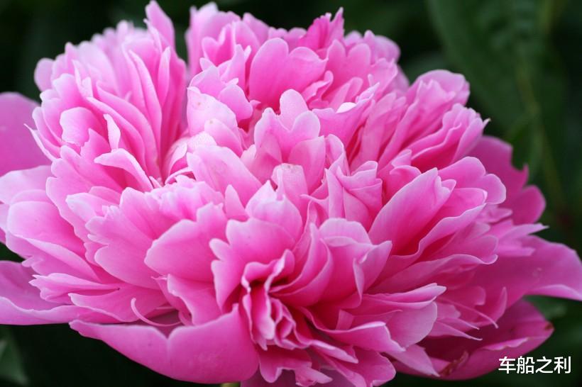 生肖|这3大生肖今年偏财旺盛,中奖、捡钱等等好事不断