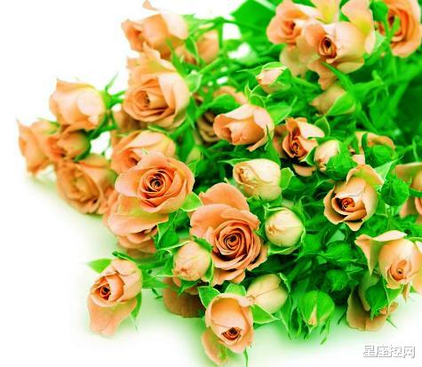 ▲农历几日出生的人，5月受辛苦，6月尝甜头，汗水浇灌出富足生活