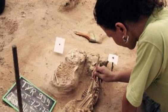 【科学家】在墓中发现了水晶制品，疑似史前武器，科学家：出现了一个问题