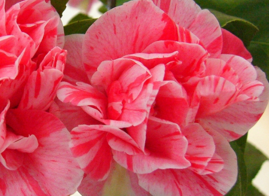 运势：在6月底大吉大利，4属相事业一路顺风，生意兴隆赚大钱