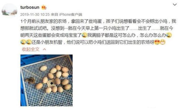 孙俪：孙俪为娃发豆芽上热搜，获赞百万，孩子的差距，就是这样拉开的