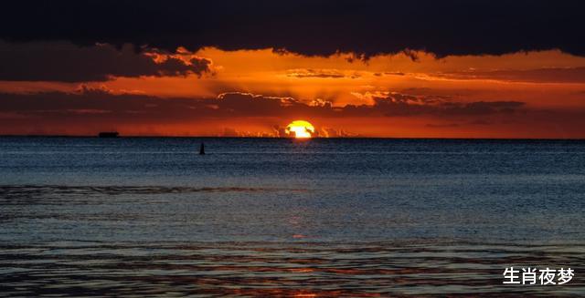 【生肖】7月,桃花开满枝,真情可回头,3生肖街边邂逅旧情人,旧爱复燃