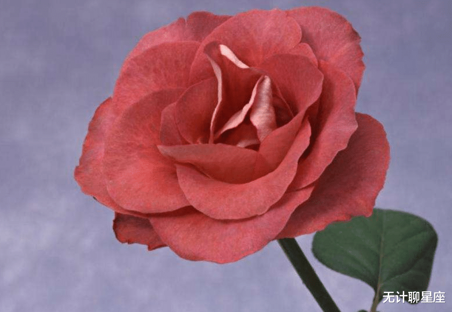 心之所向|未来五天，最有福气的4个星座，磨难将顺利通过