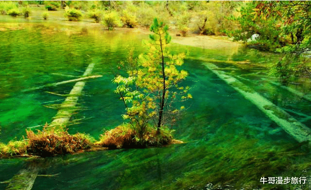 #九寨沟#号称世外桃源的九寨沟，为何游客去过之后，都不愿意再去第二次？