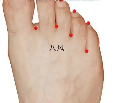 运动|“寒风起，百病始”。护好，身上自带的挡风墙！