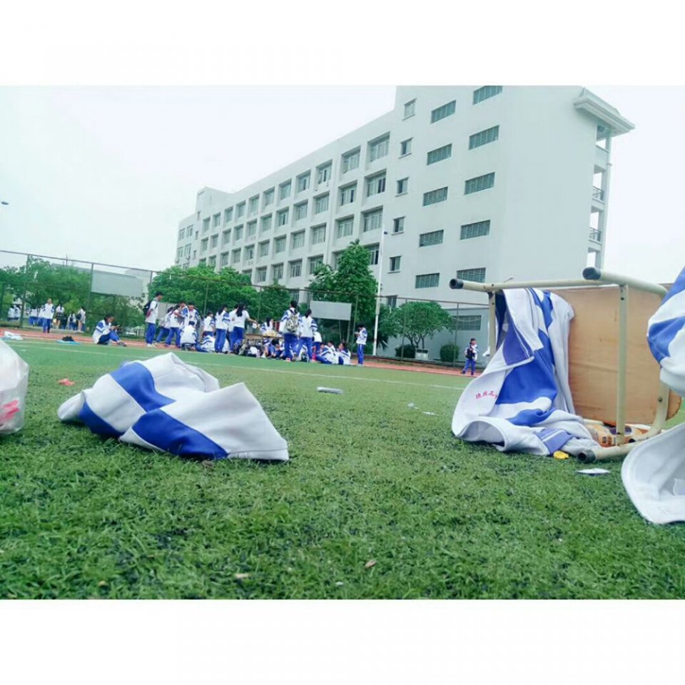 【作文】高考状元怎样学语文,最真实的回答!