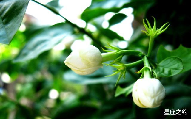 【生肖】5.19-21星座运势：白羊换位思考，天蝎劳逸结合，射手小心谨慎