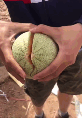 水果@七月一到，这些碱性水果要多吃一点，直到三伏尾，度过苦夏很舒坦