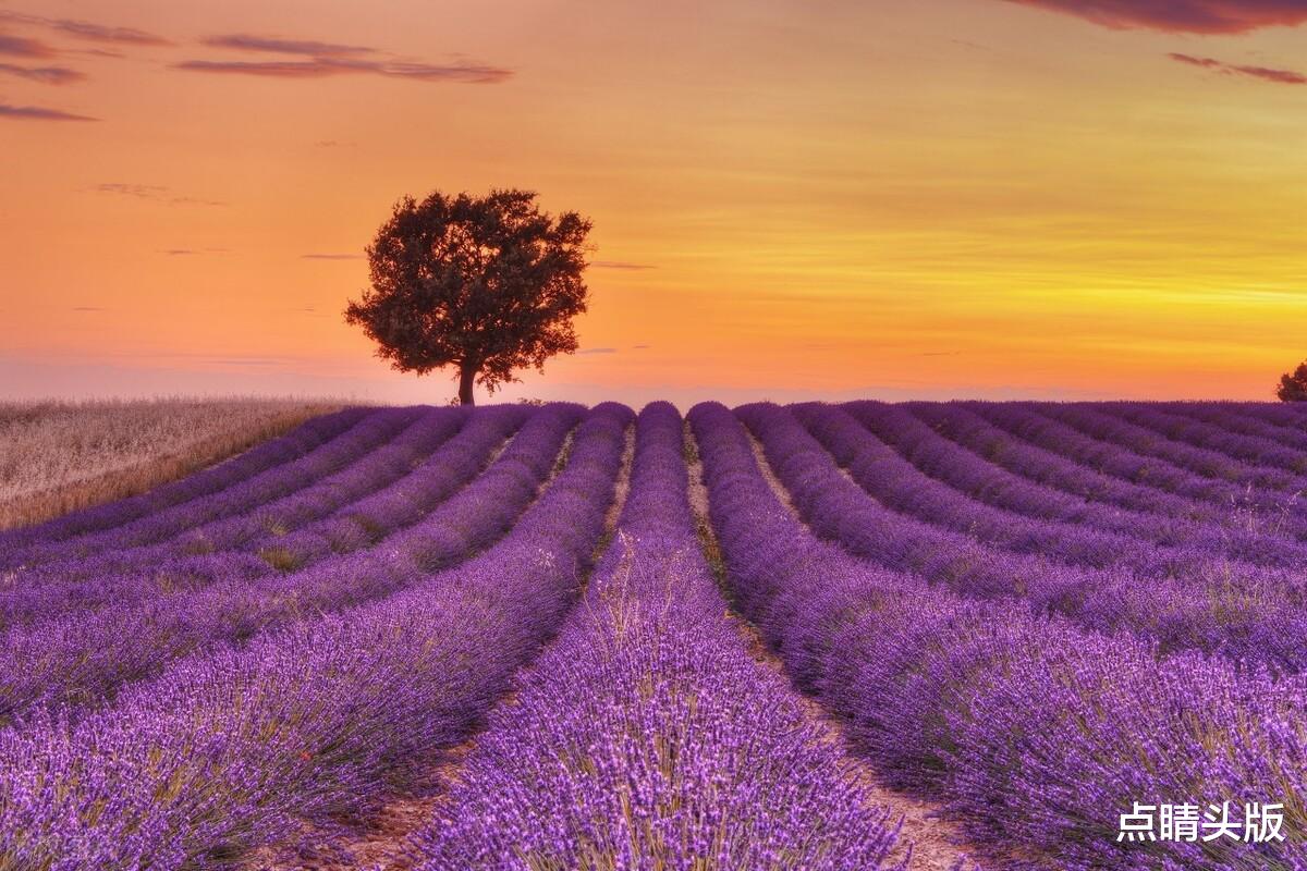 双子座|9月份事业能够展翅飞翔,爱情需要保卫战的三大星座