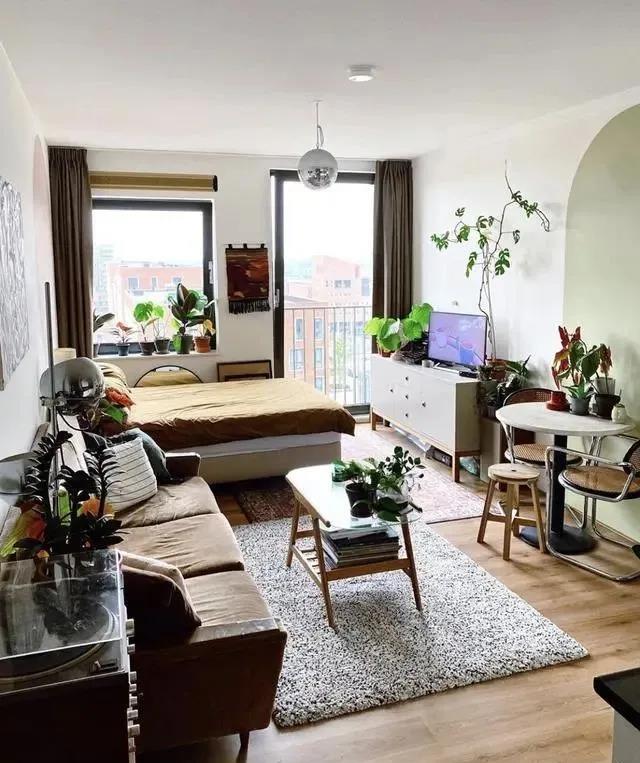 |发现一户男孩的家，那叫一个干净整洁，满屋子的绿植，超懂生活