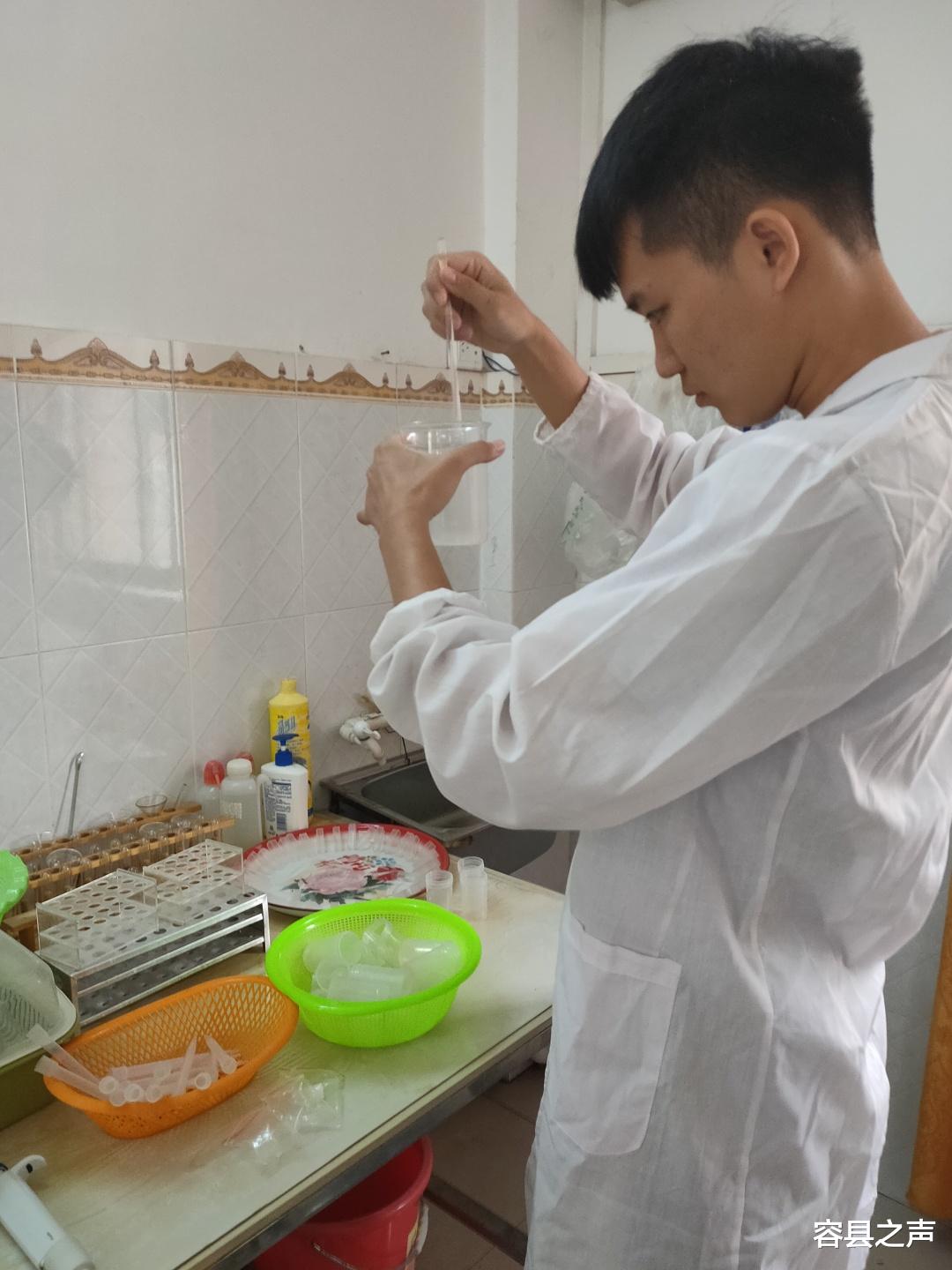 容县之声|广西容县柚农保护老柚树有方，百年柚树硕果累累“儿孙满堂”！