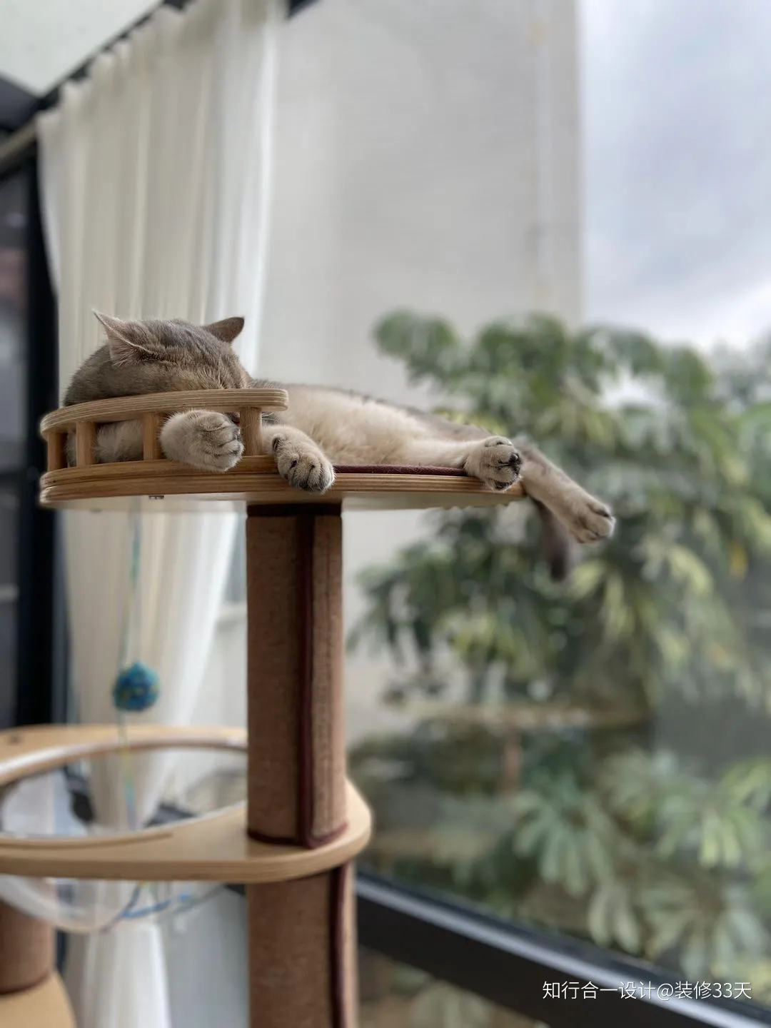 「」卡座餐厅,榻榻米次卧,全封阳台,70平二手房改造