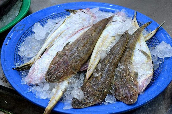 潮汕|这鱼在我国不值钱，潮汕人懂它的价值，到了日本摇身一变成高档货