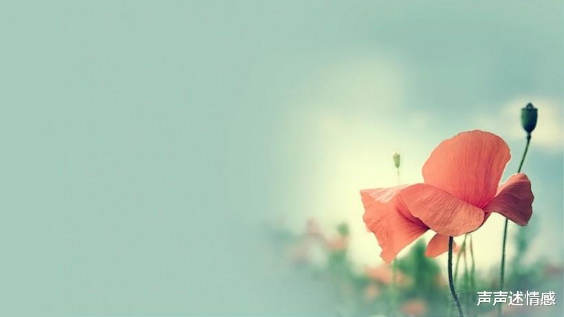 「生肖」7月已至：桃花运回眸，姻缘树开花，谱写爱情篇章的4大生肖