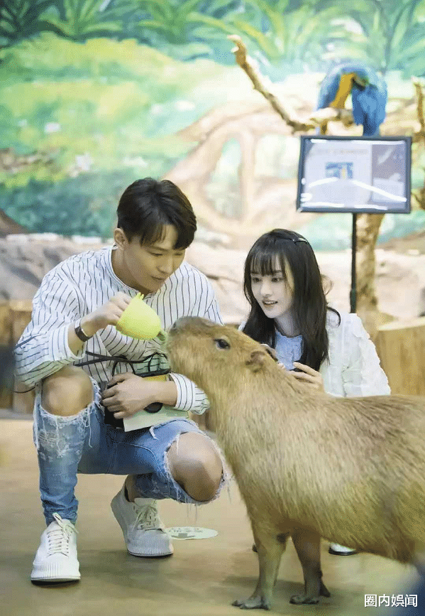 郑爽|郑爽张恒事件早有苗头！早前爆料被扒出，留学生圈已传遍？