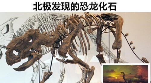 化石|未解之谜：存在于世界上的，9个让科学家也难以解释的神秘化石