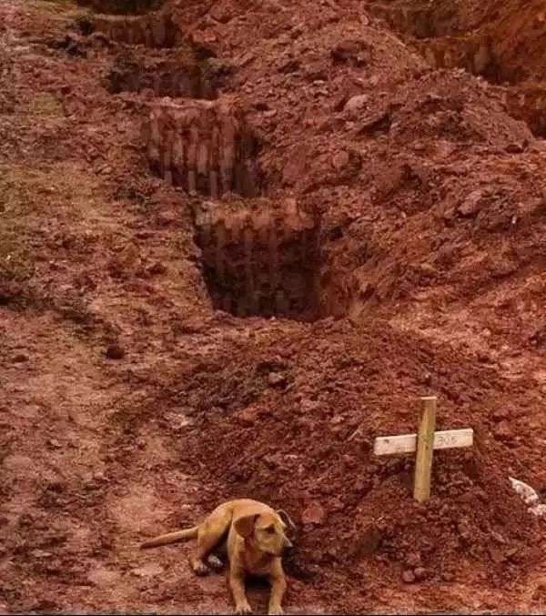 每天阅读|史上最催泪的30张照片，你能坚持到第几张