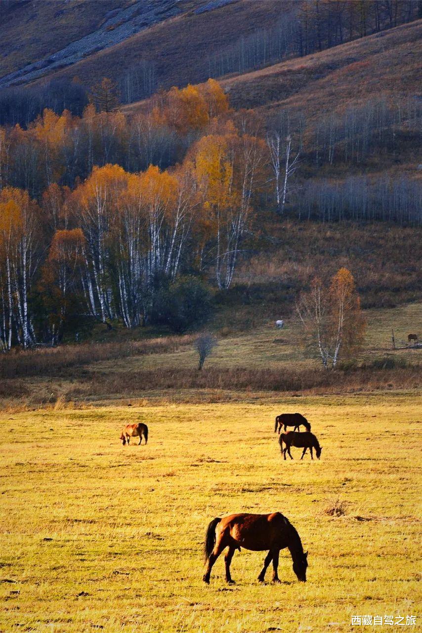 衡山|我国必去的这100个AAAAA景区，截止2020年你去了多少个！？